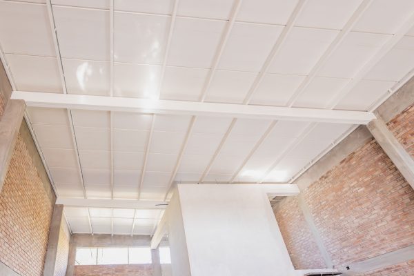 DSC07088-Mejorado-NR